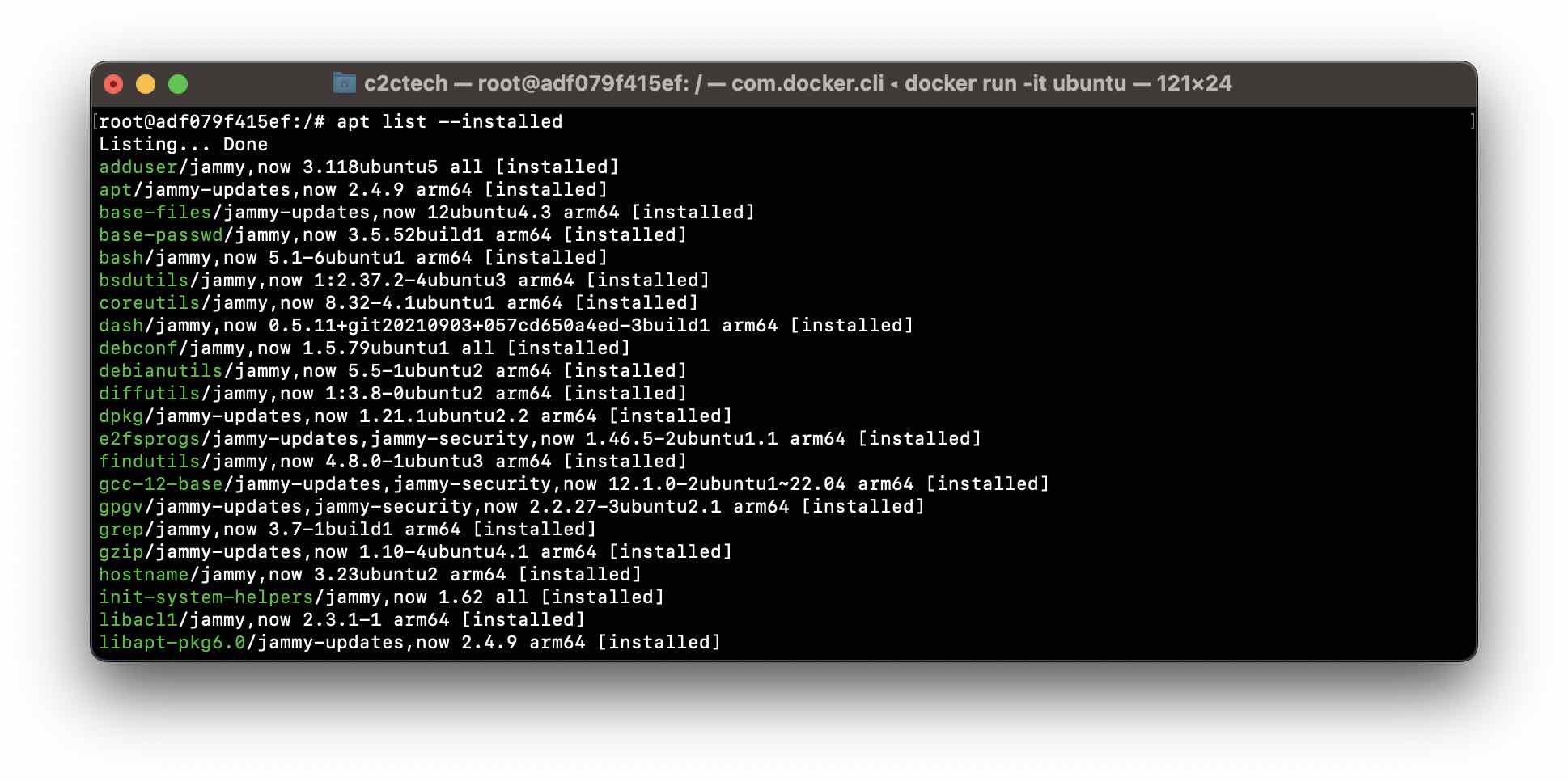 Ubuntu- List all Installed Packages using apt Command Output